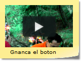 Gnanca el boton