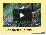 Geometra in crisi